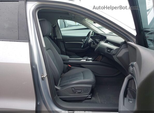 WA1AAAGEXMB025162 2021 AUDI E-TRON Gray Вид салону спереду