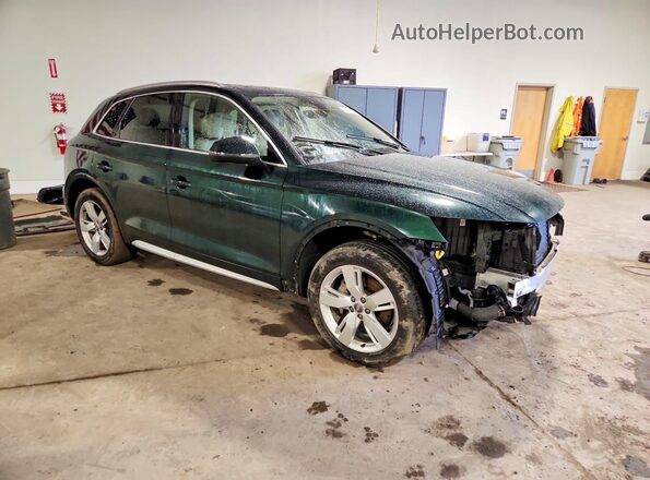 WA1BNAFY4K2049992 2019 AUDI Q5 Green 