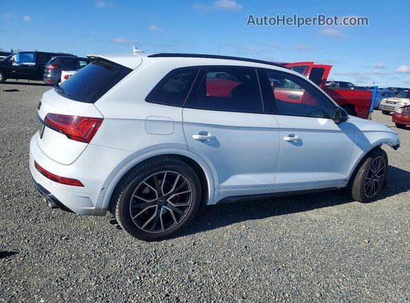 WA1C4AFY6P2147503 2023 AUDI SQ5 White Tył prawy
