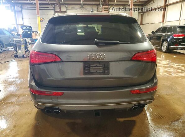 WA1CCAFP1GA006600 2016 AUDI SQ5 Gray Вид ззаду