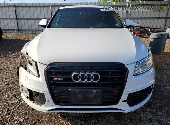 WA1CCAFP6GA014689 2016 AUDI SQ5 White Vista frontal