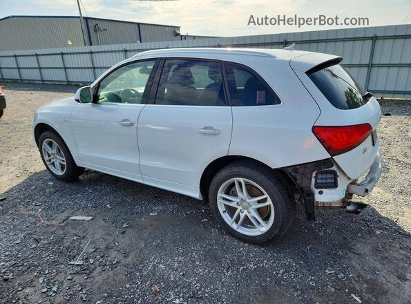 WA1D7AFP6GA136459 2016 AUDI Q5 White Trasero izquierdo