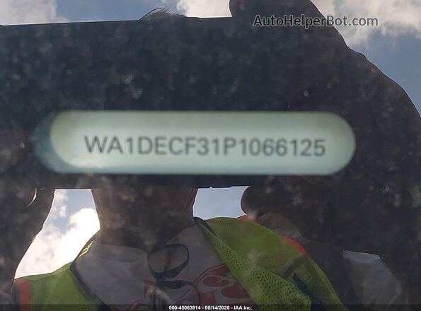 WA1DECF31P1066125 2023 AUDI Q3 Blue Vista del compartimento del motor