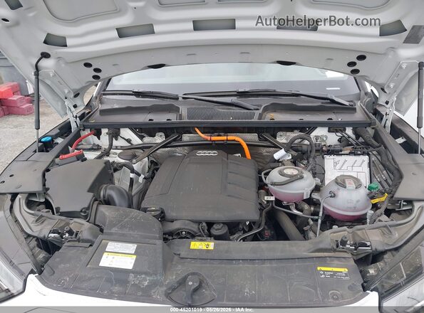 WA1E2AFY4R2101072 2024 AUDI Q5 White Հետևի տեսք