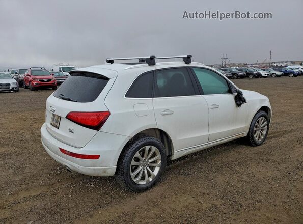 WA1L2AFP3GA075582 2016 AUDI Q5 White Tył prawy