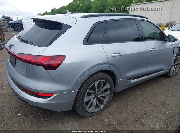 WA1LAAGE3MB015856 2021 AUDI E-TRON Silver 