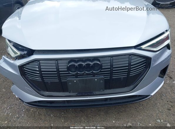 WA1LAAGE3MB015856 2021 AUDI E-TRON Silver 