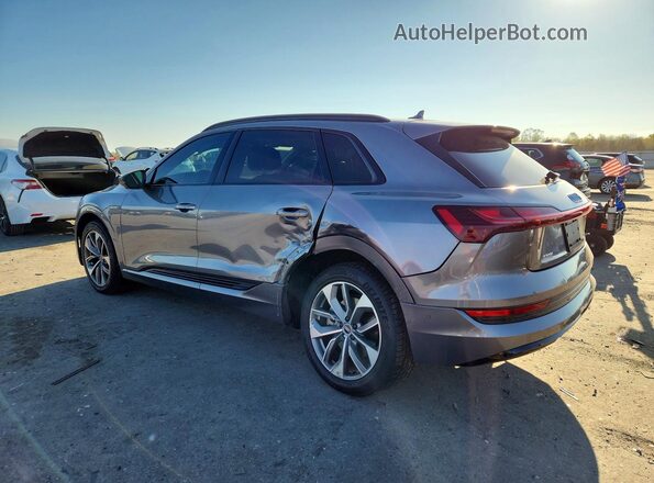 WA1LAAGEXMB010704 2021 AUDI E-TRON Серый Задняя левая четверть