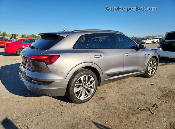 WA1LAAGEXMB010704 2021 AUDI E-TRON Серый Задняя правая четверть