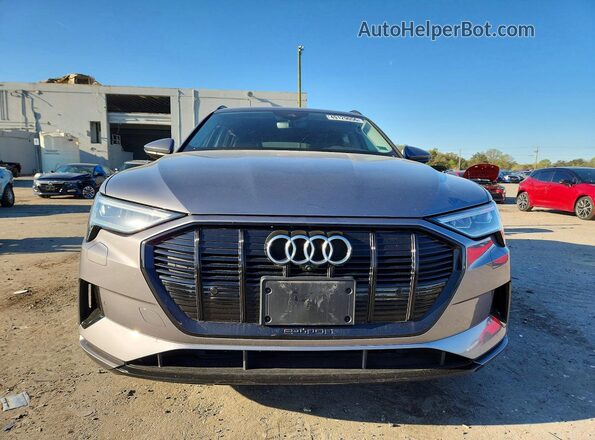 WA1LAAGEXMB010704 2021 AUDI E-TRON Серый Вид спереди