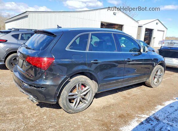 WA1LCAFP8GA090219 2016 AUDI SQ5 Black Trasero derecho