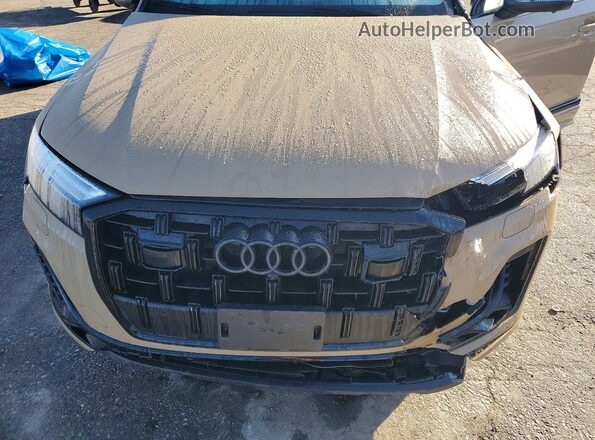 WA1LCBF7XSD007046 2025 AUDI Q7 Tan Սալոնի հետևի տեսք