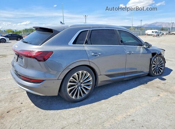 WA1VAAGE7KB024954 2019 AUDI E-TRON Silver Задня права чверть