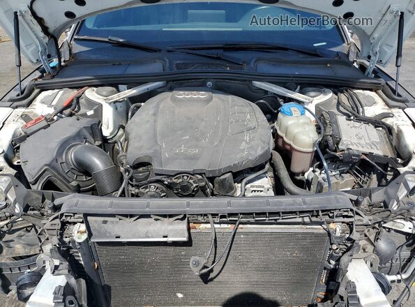 WAUBNCF5XKA006719 2019 AUDI A5 White Вид задньої частини салону