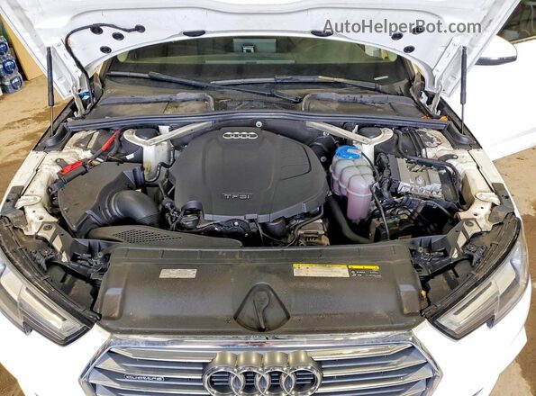 WAUCNAF42KA007895 2019 AUDI A4 Белый Вид задней части салона