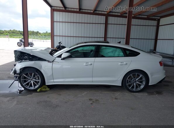 WAUDACF5XSA010418 2025 AUDI OTHER White სალონის 360-გრადუსიანი ხედი