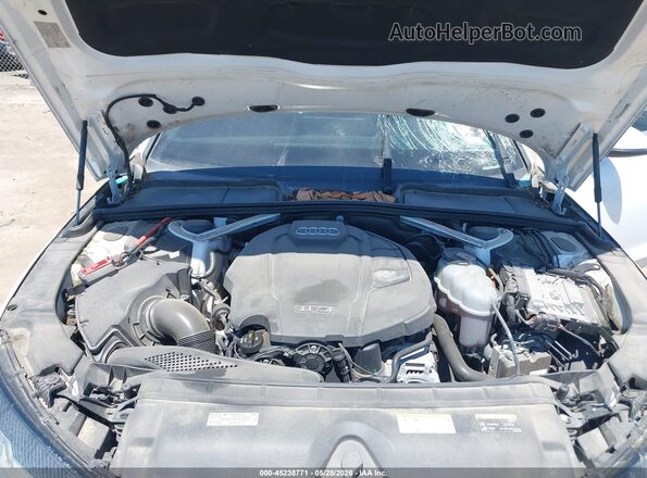 WAUDNAF47LA050621 2020 AUDI OTHER Белый Вид сзади