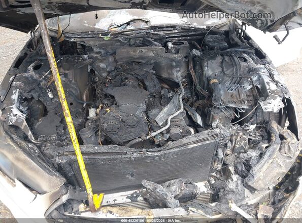 WAUENAF43JN014337 2018 AUDI OTHER White Widok z tyłu