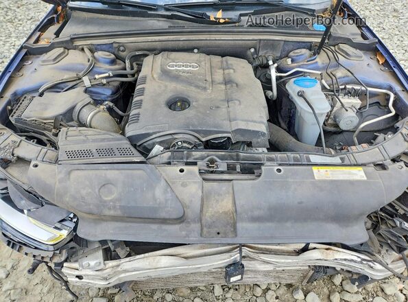 WAUFFAFL1GN011065 2016 AUDI A4 Blue Вид задньої частини салону