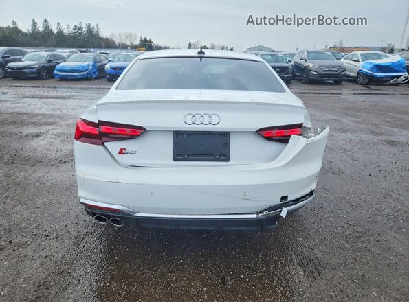 WAUN4AF54PA039193 2023 AUDI S5 Белый Вид сзади