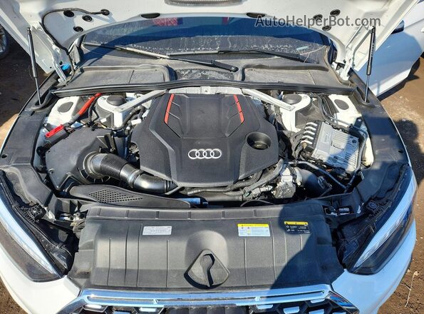 WAUN4AF54PA039193 2023 AUDI S5 Белый Вид задней части салона