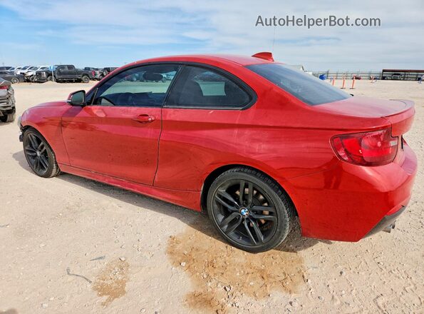 WBA1F9C5XGV545003 2016 BMW 2 SERIES Red Trasero izquierdo