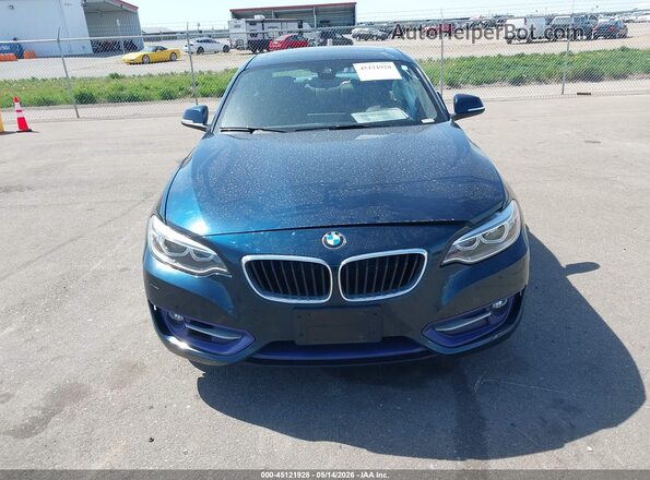 WBA1G9C53GV726683 2016 BMW 2 SERIES Blue Widok wnętrza z tyłu