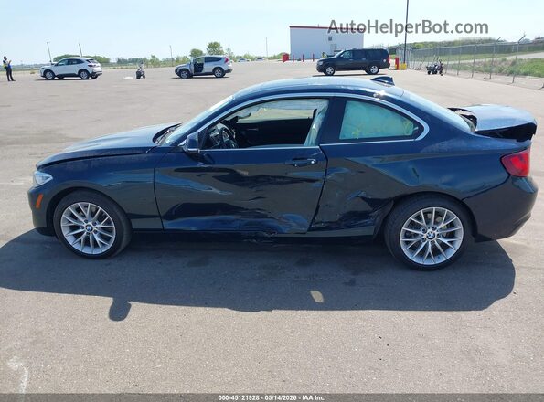 WBA1G9C53GV726683 2016 BMW 2 SERIES Blue 
