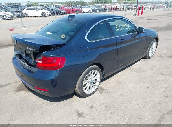 WBA1G9C53GV726683 2016 BMW 2 SERIES Blue Tył prawy