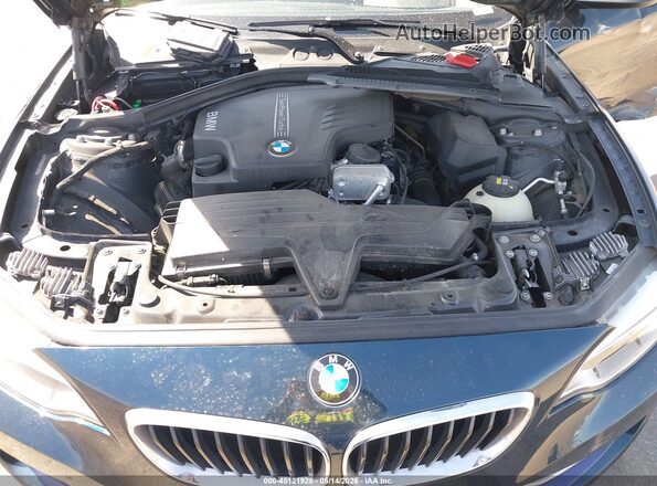 WBA1G9C53GV726683 2016 BMW 2 SERIES Blue Widok z tyłu