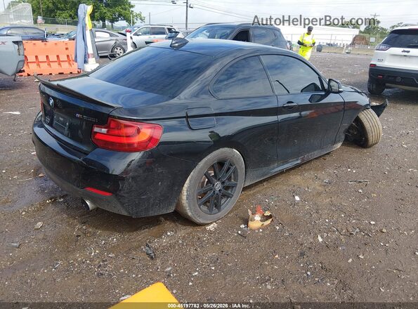 WBA1J7C58GV360080 2016 BMW M2 Black Trasero derecho