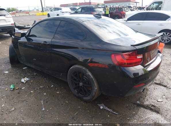 WBA1J7C58GV360080 2016 BMW M2 Black Trasero izquierdo