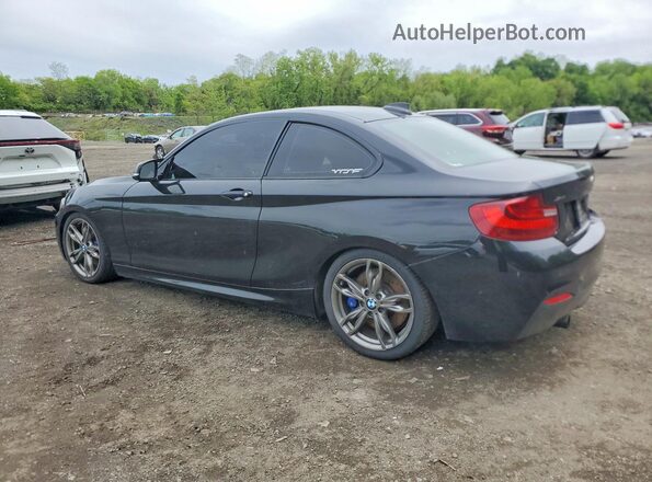 WBA1J9C56GV696371 2016 BMW M2 Black Trasero izquierdo