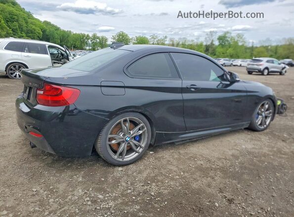 WBA1J9C56GV696371 2016 BMW M2 Black Trasero derecho