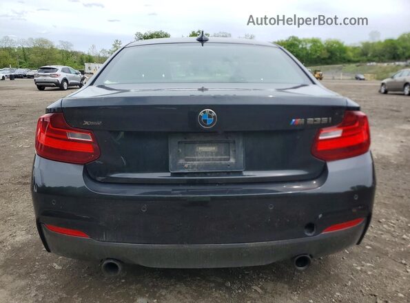 WBA1J9C56GV696371 2016 BMW M2 Black Vista trasera