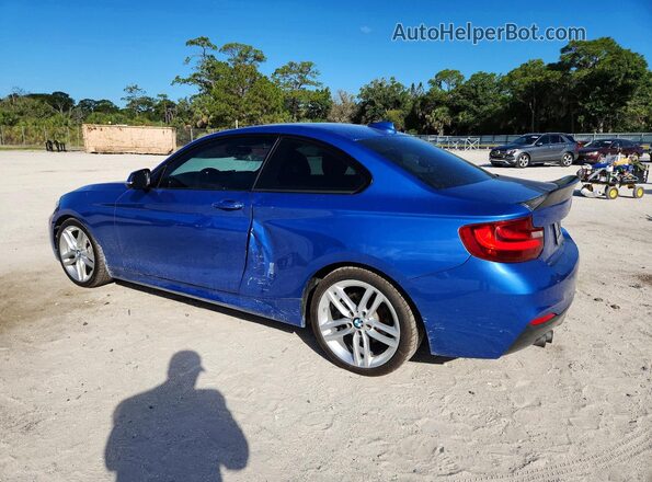 WBA2F9C32H7A40245 2017 BMW 2 SERIES Blue Trasero izquierdo
