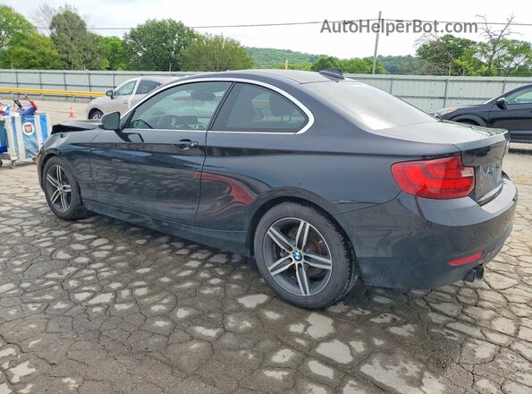 WBA2F9C32HV664703 2017 BMW 2 SERIES Black Հետևի ձախ