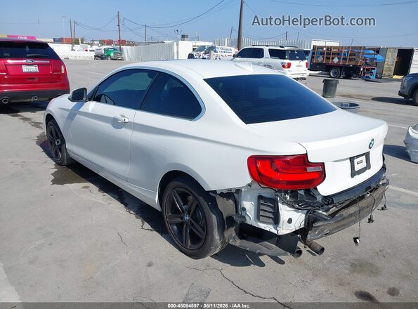 WBA2F9C32HV664863 2017 BMW 2 SERIES White უკანა მარცხენა