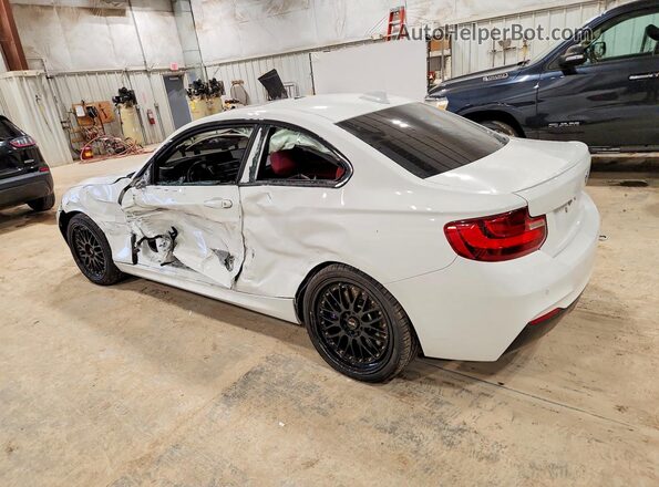 WBA2G3C38HV641307 2017 BMW M2 White Հետևի ձախ