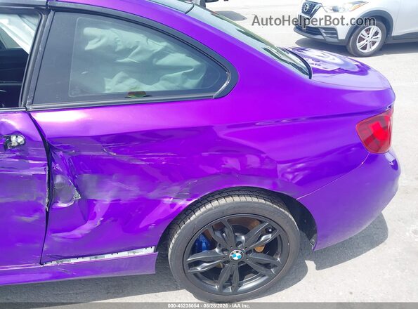 WBA2G3C51HV640730 2017 BMW M2 Purple 