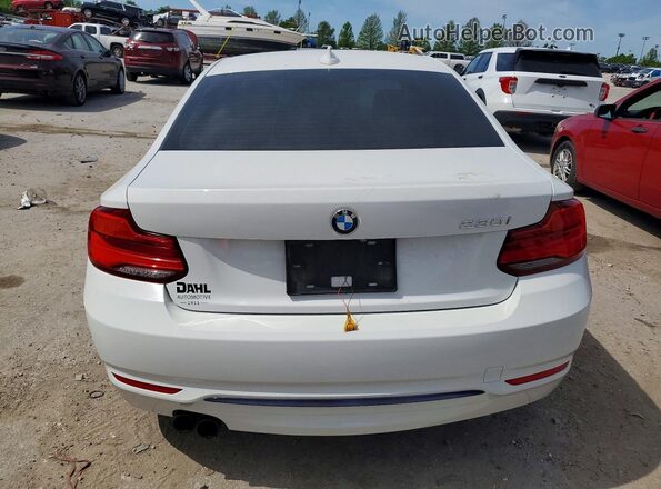 WBA2J1C58JVD09805 2018 BMW 2 SERIES White Widok z tyłu