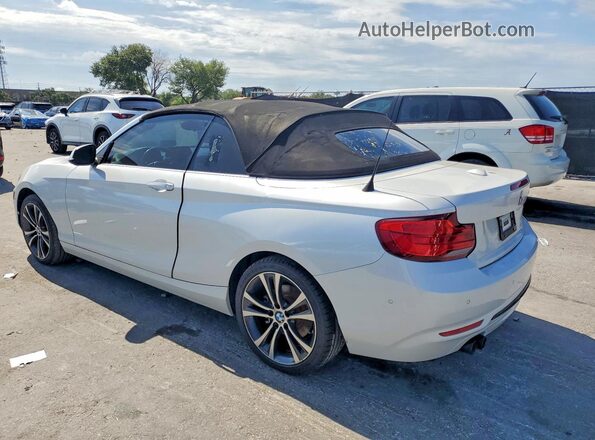 WBA2M7C50JVD51623 2018 BMW 2 SERIES White Tył lewy