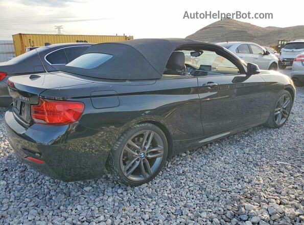WBA2M7C5XKVD52313 2019 BMW 2 SERIES Black Задня права чверть