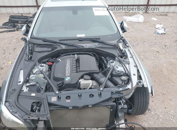 WBA5B3C59GG260288 2016 BMW 5 SERIES Silver Widok z tyłu