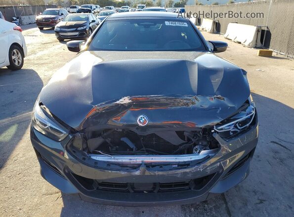 WBAGV8C01PCK80611 2023 BMW M8 Gray Front view