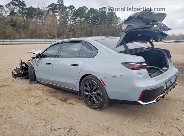 WBY53EJ09PCL62022 2023 BMW OTHER Gray 