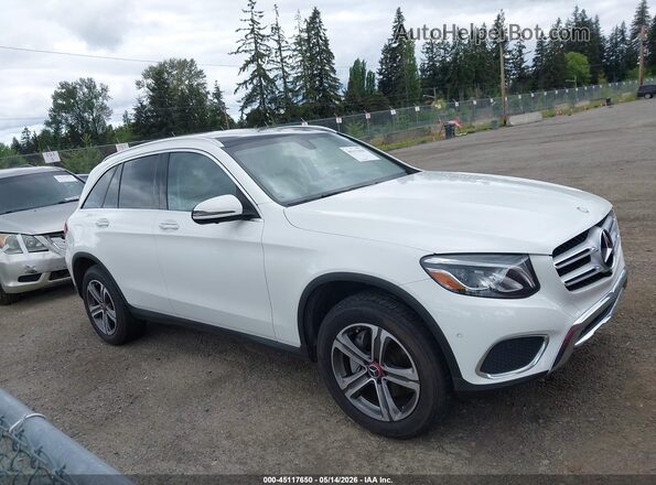 WDC0G4KBXHF134521 2017 MERCEDES-BENZ GLC 300 White Вид задньої частини салону