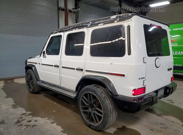 WDCYC6BJ4KX300115 2019 MERCEDES-BENZ G-CLASS White Tył lewy