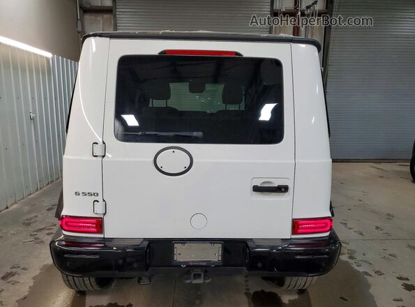 WDCYC6BJ4KX300115 2019 MERCEDES-BENZ G-CLASS White Widok z tyłu