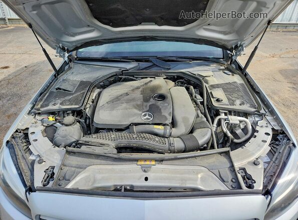 WDDWF8DB1LR532057 2020 MERCEDES-BENZ C Silver Vista interior trasera